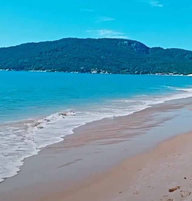 Quarto Nos Ingleses Em Casa Compartilhada,Sem Banheiro Privativo Daire Florianópolis Dış mekan fotoğraf